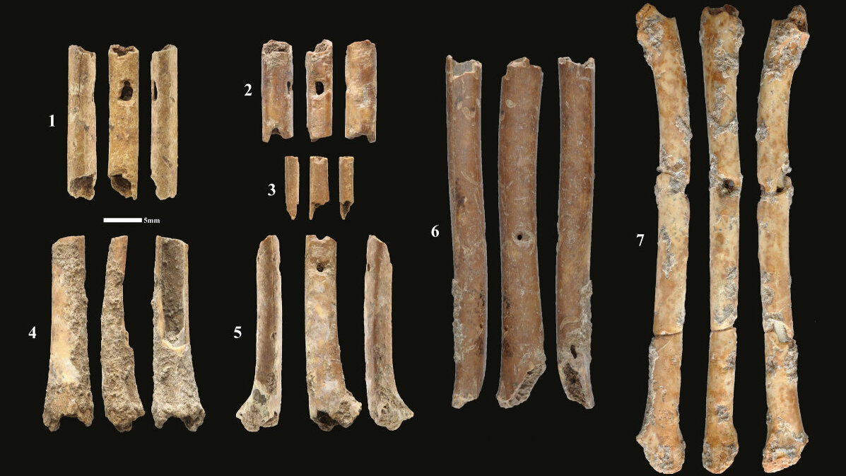 the-oldest-prehistoric-wind-instruments-of-the-levant-breaking-latest